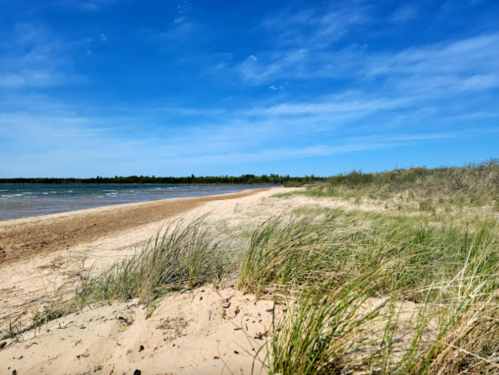 A sandy beach with tall grass, under a clear blue sky and calm water, surrounded by trees in the distance.