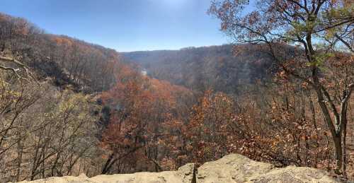 A scenic view of a valley with autumn foliage, featuring trees in shades of orange and brown under a clear blue sky.