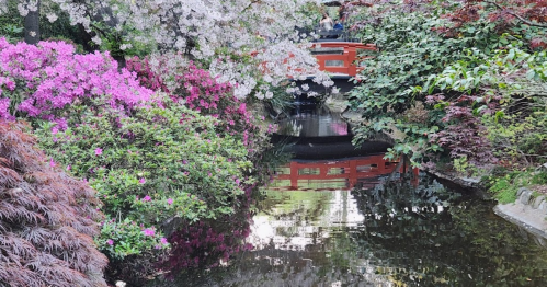 A serene garden scene with vibrant flowers, a red bridge, and a calm pond reflecting the surrounding greenery.