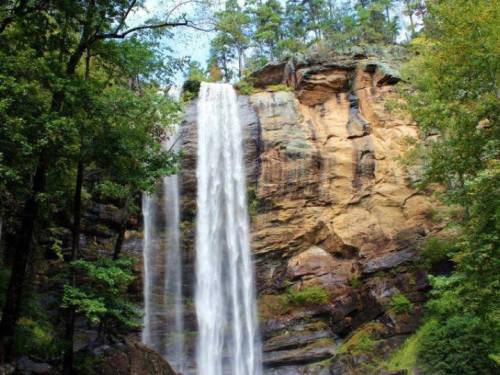 A stunning waterfall cascading down a rocky cliff, surrounded by lush green trees and vibrant foliage.