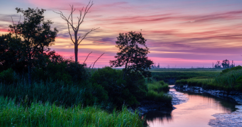 A serene landscape featuring a winding creek, lush greenery, and a vibrant sunset sky with pink and purple hues.