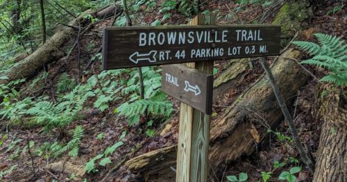 Wooden signpost for Brownsville Trail, indicating directions to parking lot and trail, surrounded by greenery.