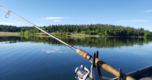 A fishing rod rests on a boat, overlooking a calm lake surrounded by lush green trees and a clear blue sky.