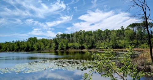 A serene lake surrounded by lush greenery and blue skies with wispy clouds, reflecting the landscape on the water's surface.