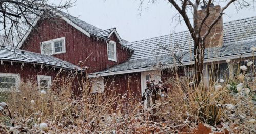 A red house with a sloped roof surrounded by snow-covered plants and falling snowflakes.