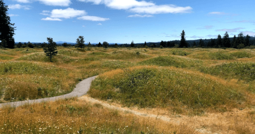 A winding path through grassy hills under a blue sky with scattered clouds and distant mountains.