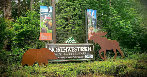 Sign for Northwest Trek Wildlife Park featuring a bear and moose silhouette, surrounded by lush greenery.