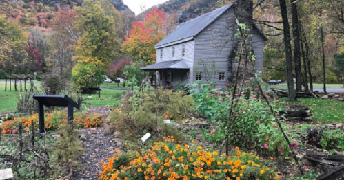 A rustic gray house surrounded by colorful autumn foliage and a vibrant flower garden.