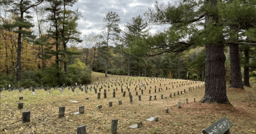A serene cemetery with rows of simple stone markers, surrounded by trees and autumn foliage under a cloudy sky.