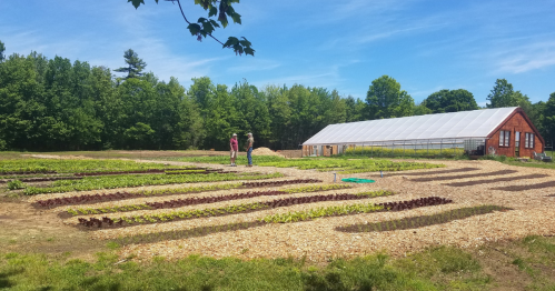 Two people stand in a lush, green farm with rows of crops and a greenhouse in the background under a clear blue sky.