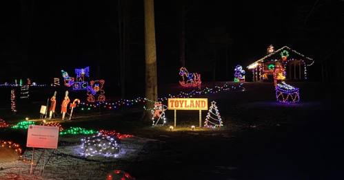 Colorful holiday lights illuminate a festive scene with a sign reading "Toyland," decorated trees, and festive figures.
