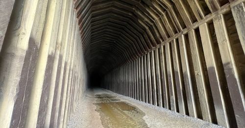 A dark, wooden tunnel with a textured ceiling and a small puddle on the ground, leading into shadow.
