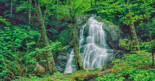 A serene waterfall cascades over rocks, surrounded by lush green trees and foliage in a tranquil forest setting.