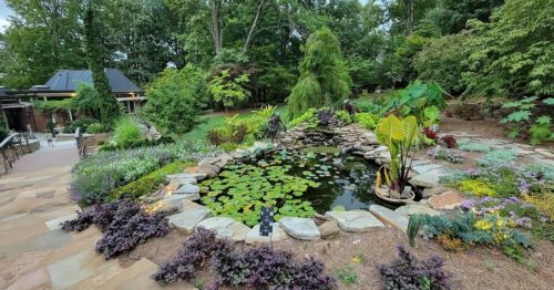 A serene garden featuring a pond with lily pads, surrounded by lush greenery and colorful flowers.