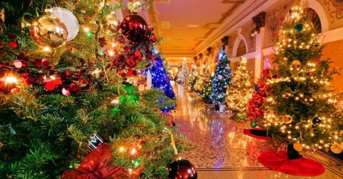 A festive hallway lined with beautifully decorated Christmas trees, adorned with colorful lights and ornaments.