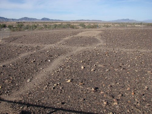 A rocky desert landscape with sparse vegetation and distant mountains under a clear blue sky.