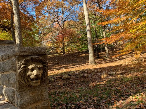 A stone lion sculpture beside a path in a colorful autumn forest with vibrant leaves and trees.