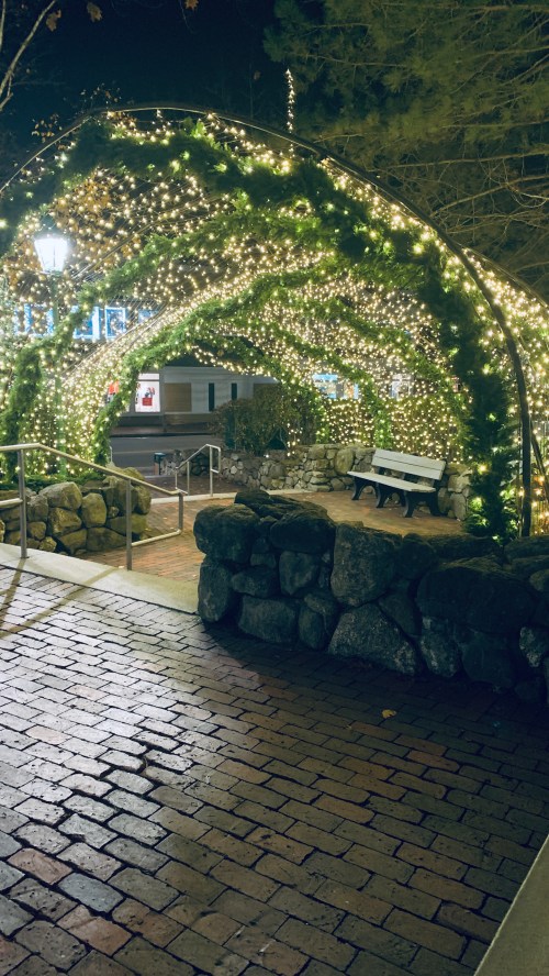 A pathway adorned with glowing lights and greenery, leading to a bench under a festive arch at night.