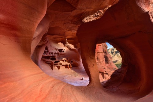A stunning view of a red rock canyon with smooth, curved walls and natural openings, illuminated by sunlight.