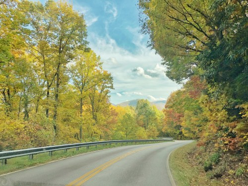 A winding road surrounded by vibrant autumn trees under a blue sky with scattered clouds.