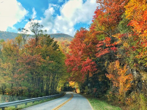 A winding road surrounded by vibrant autumn foliage in shades of red, orange, and yellow under a blue sky.