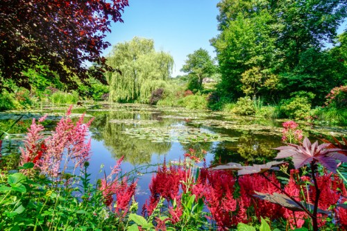 A serene pond surrounded by vibrant flowers and lush greenery under a clear blue sky.