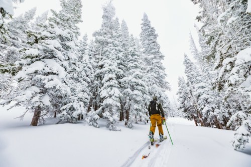 A skier ascends a snowy trail surrounded by tall, snow-covered trees in a winter landscape.