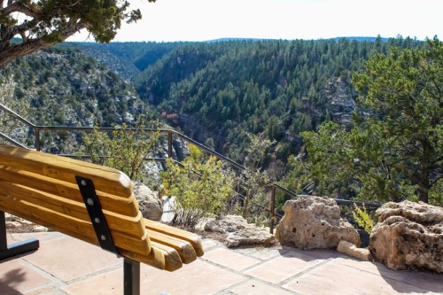 A wooden bench overlooks a lush canyon filled with trees under a clear blue sky.