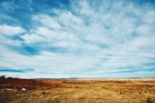 A vast, open landscape with golden grass under a blue sky filled with clouds.