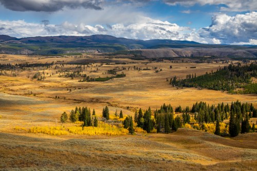 A vast landscape of golden grass and scattered trees under a cloudy sky, with distant mountains in the background.