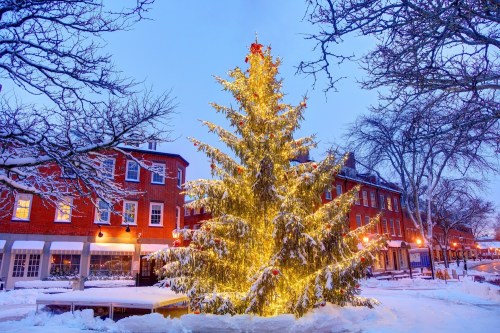A beautifully lit Christmas tree in a snowy town square, surrounded by historic buildings and bare trees.