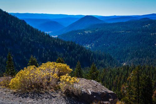 A scenic view of rolling mountains and valleys, with vibrant yellow flowers in the foreground under a clear blue sky.