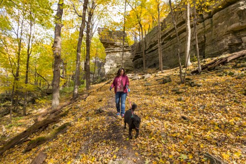A woman walks a black dog along a leaf-covered trail in a forest with colorful autumn foliage and rocky cliffs.