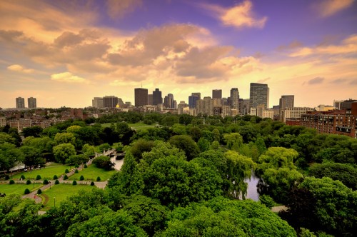 A vibrant city skyline at sunset, surrounded by lush green trees and a serene park landscape.