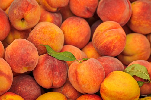 A close-up of ripe peaches with a mix of orange and red hues, some with green leaves, piled together.