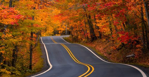 Winding road through vibrant autumn trees with orange and yellow leaves.