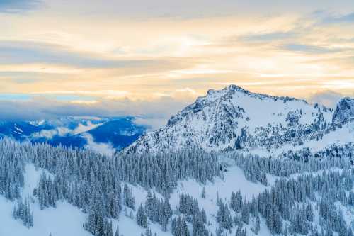 Snow-covered mountains under a soft, colorful sky with clouds and evergreen trees in the foreground.