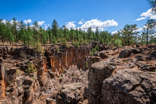 A rocky canyon surrounded by tall pine trees under a bright blue sky with scattered clouds.