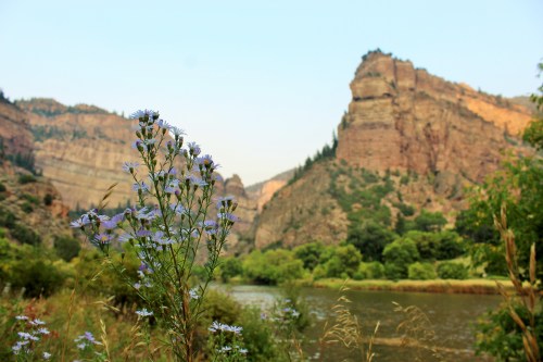 A scenic view of a river surrounded by mountains, with wildflowers in the foreground.