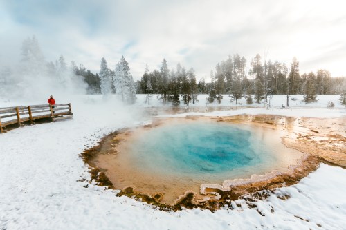 A person stands by a steaming hot spring surrounded by snow and trees in a winter landscape.