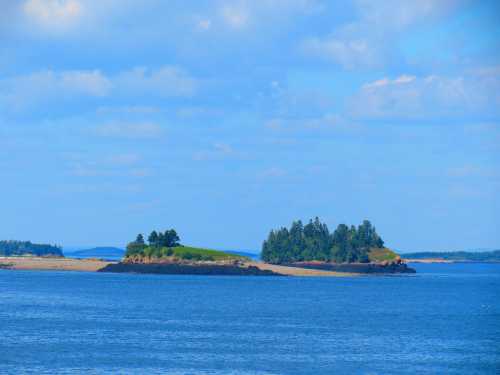 Two small, lush green islands surrounded by calm blue water under a partly cloudy sky.