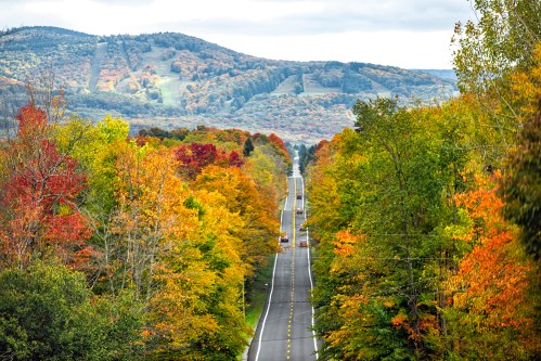 A scenic road lined with vibrant autumn trees, leading towards rolling hills in the background under a cloudy sky.