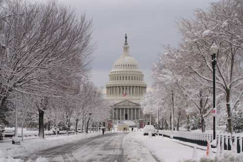 The U.S. Capitol building surrounded by snow-covered trees and a snowy pathway on a cloudy day.