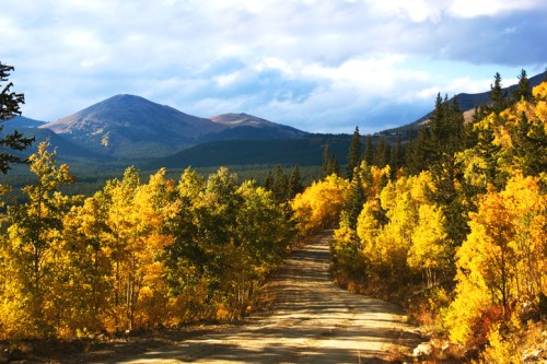A scenic dirt road winds through vibrant autumn trees, with mountains in the background under a partly cloudy sky.