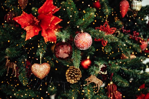 A close-up of a decorated Christmas tree with red ornaments, gold accents, and twinkling lights.