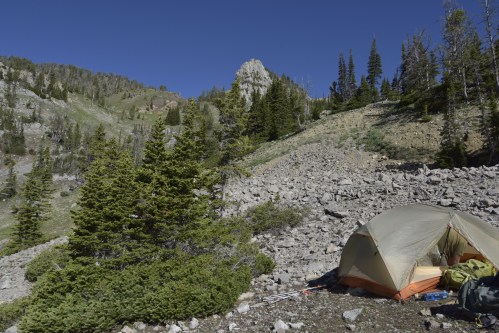 A tent set up on rocky terrain surrounded by pine trees and mountains under a clear blue sky.