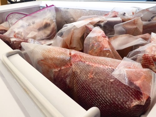 A freezer filled with vacuum-sealed bags of meat, organized and stacked neatly.