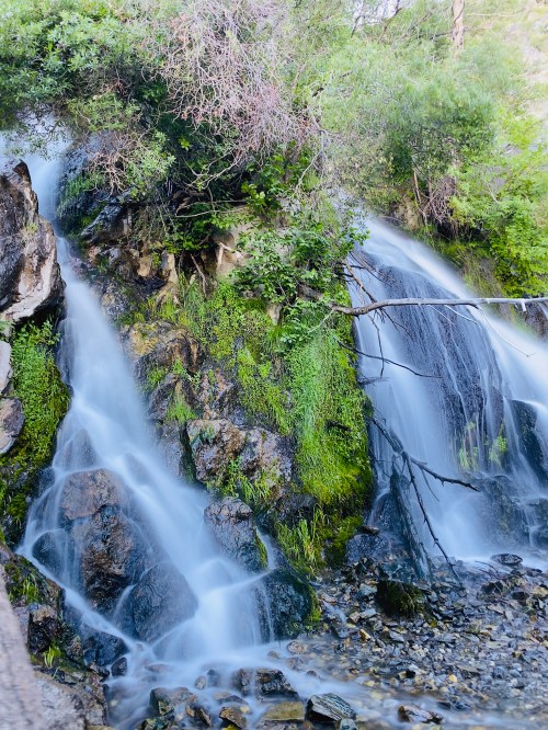 A serene waterfall cascading over rocks, surrounded by lush greenery and trees.