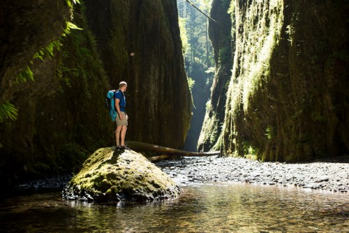 A hiker stands on a rock in a narrow canyon, surrounded by tall, moss-covered walls and a calm stream.