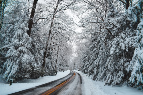 A snow-covered road winds through a forest of trees blanketed in white, creating a serene winter landscape.